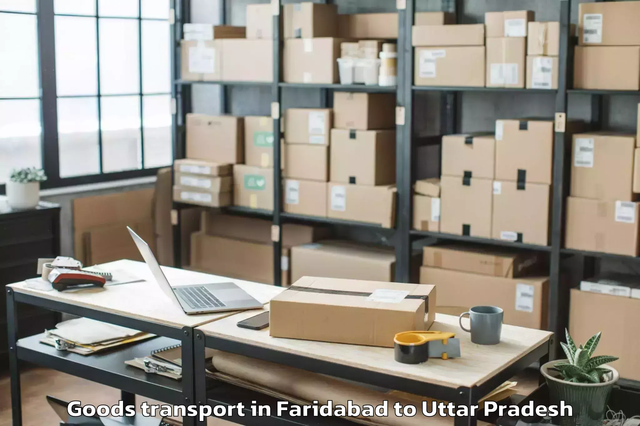 Get Faridabad to Allahabad Goods Transport